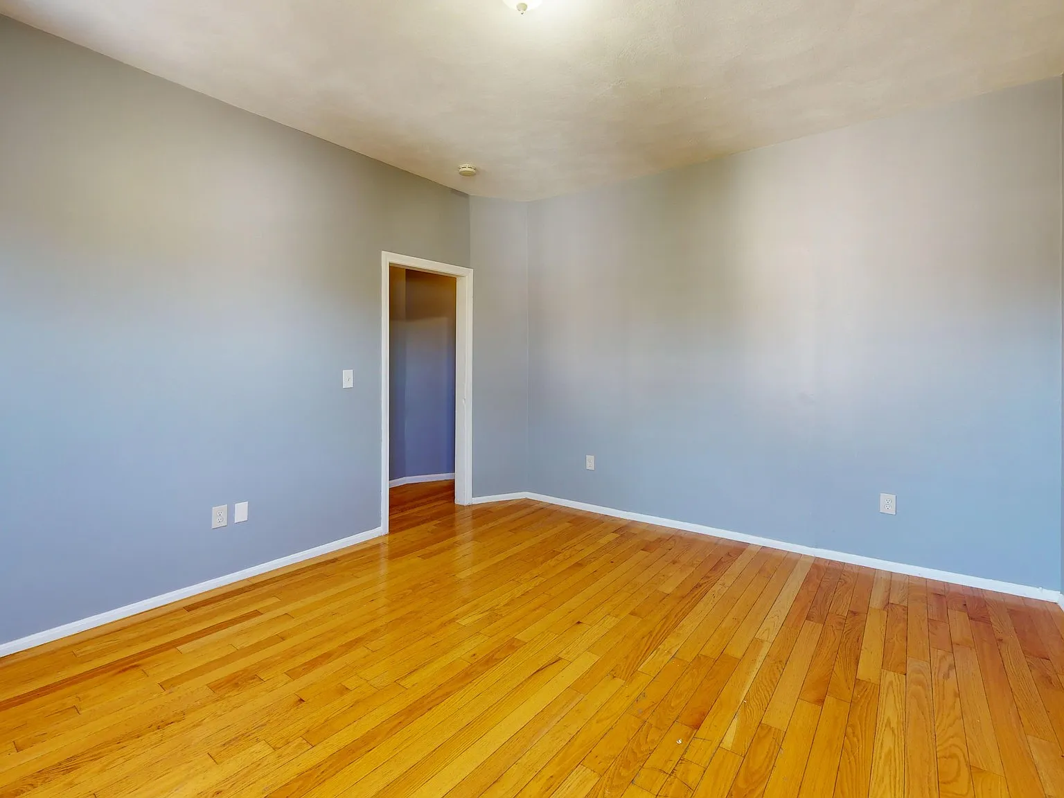 2 bed, 1.0 bath, 750 sqft, $2,950 — Photo 2