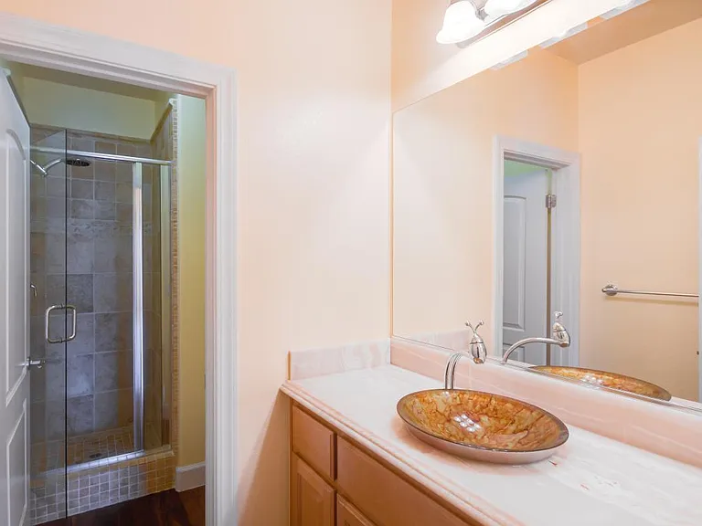 Golden Aster Ct — Photo 11
