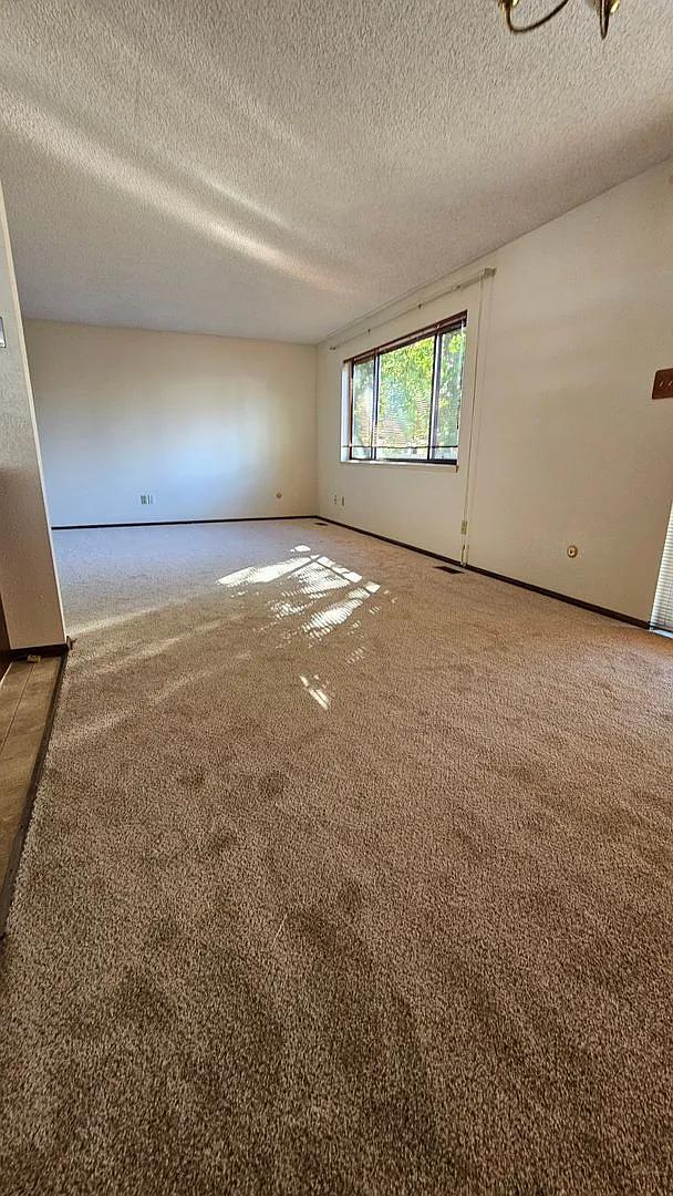 Immaculate Ranch with Large Backyard and Basement in Arvada — Photo 3