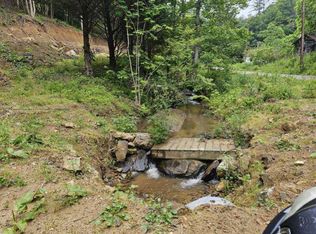 812 Browns Branch Rd, Hampton, TN 37658