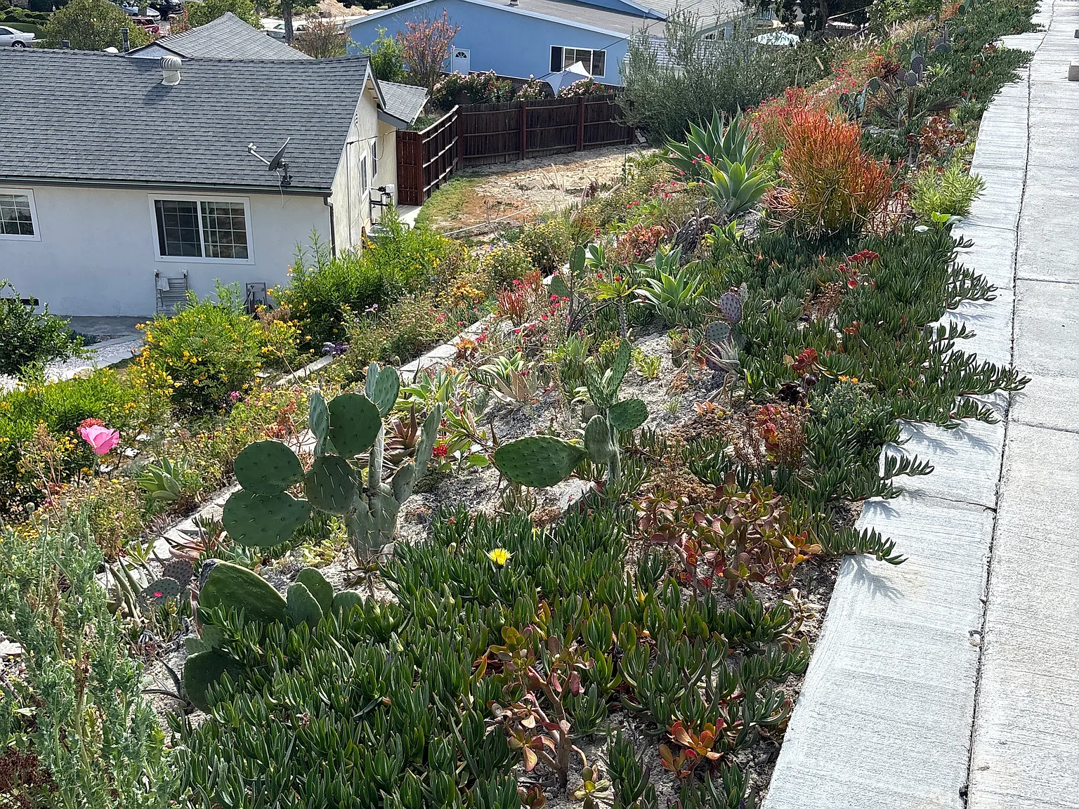 22409 Malden St — Photo 2