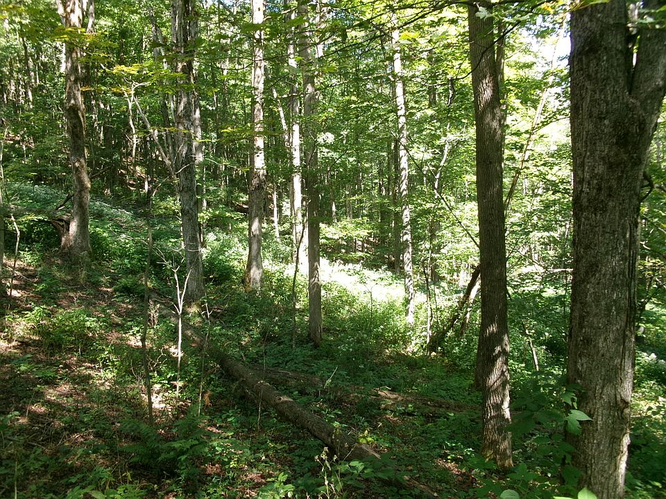 1st image of 478 Dunham Rd