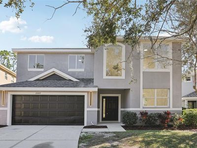 20407 Sultana Ct, Tampa, FL, 33647