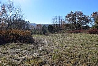 4th image of 4 N Cane Creek Road Lots 4 #&-5