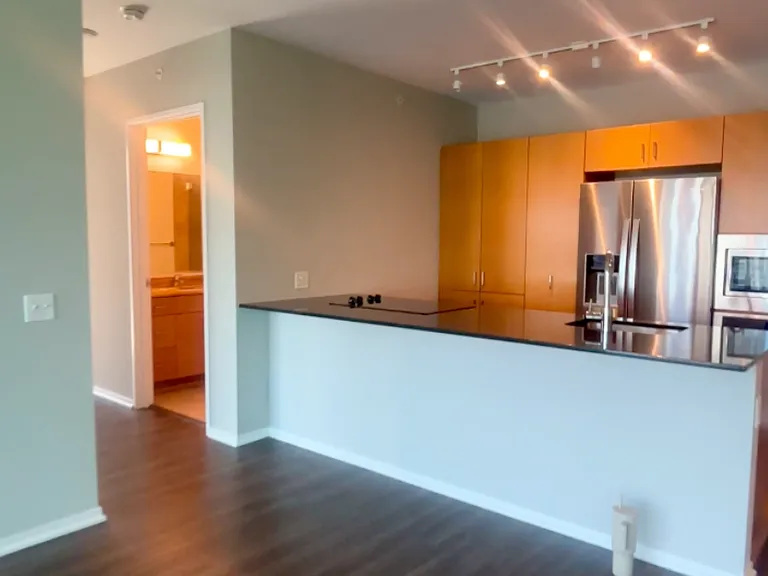 505 N Saint Clair St #3605 — Photo 7