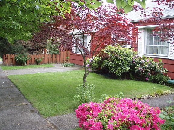 Front Yard