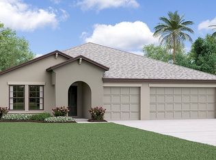14036 Arbor Pines Dr, Riverview, FL 33579