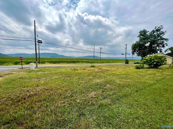 2421 Hackberry St, Guntersville, AL 35976