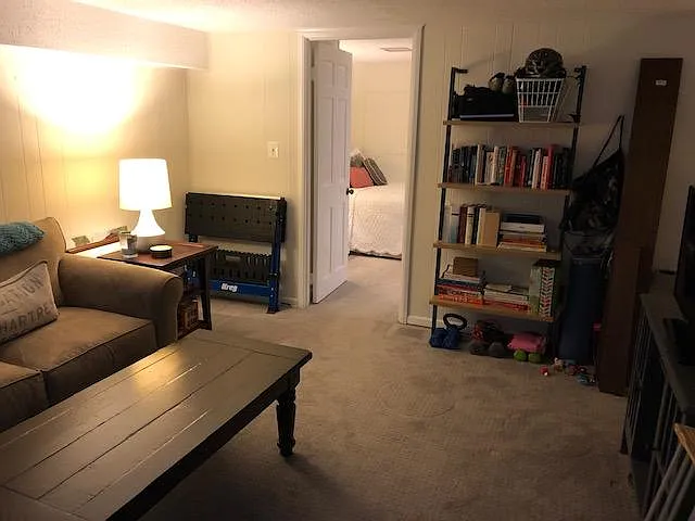 downstairs family room and back guest room/office/playroom