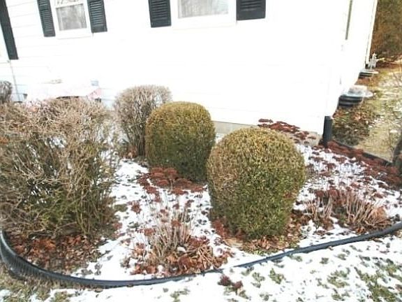 5th image of 3956 E Whittaker Ave