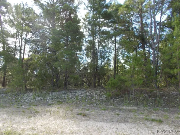 4806 W Pine Ridge Blvd, Beverly Hills, FL 34465