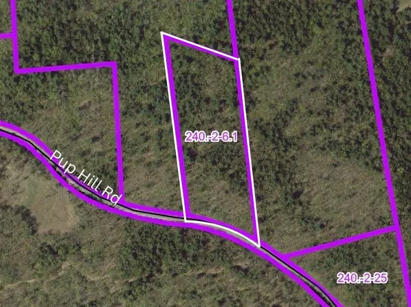0 Pup Hill Rd, Saranac, NY 12981