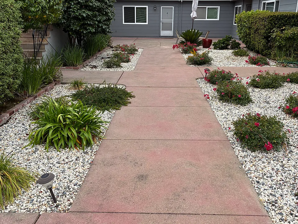 1019 Magnolia Ave #3