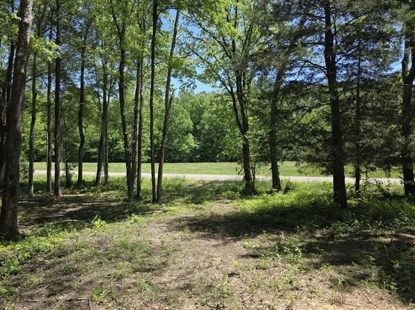 0 Birdsong Rd Lot 11, Holladay, TN 38341