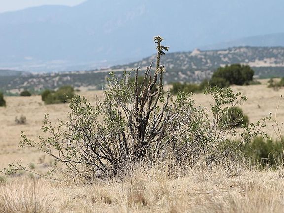 5th image of Tbd Greenhorn Creek Dr