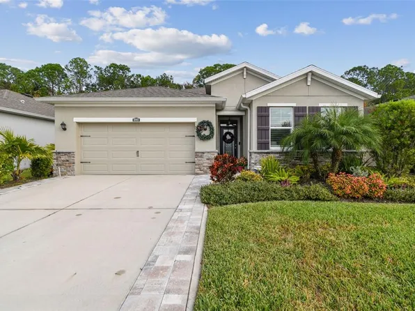 32813 Sand Creek Dr, Wesley Chapel, FL 33543