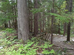 0 Cascade River Rd, Marblemount, WA 98267