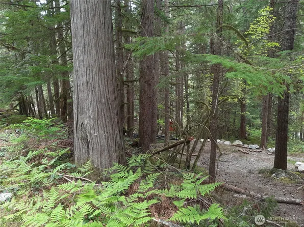 0 Cascade River Road, Marblemount, WA 98263