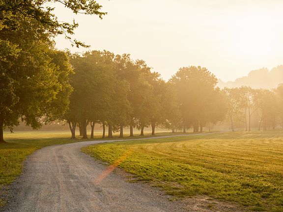 14th image of this home