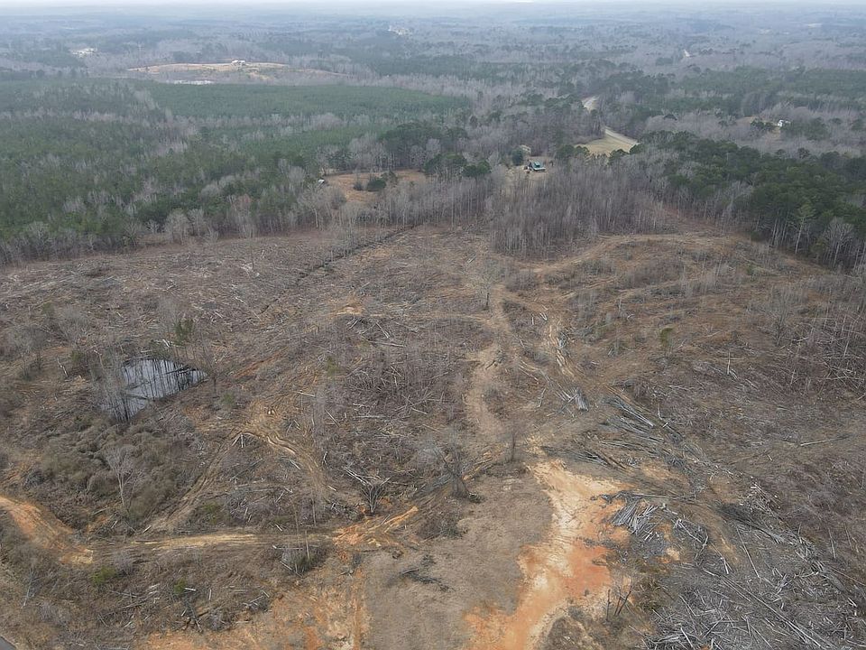 Dji Fly 20260226 101708 332 1772122649086 Photo