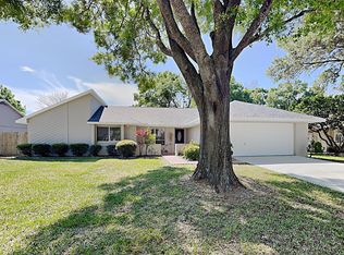 15111 Roundup Dr, Tampa, FL 33624