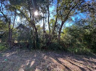 4.297 Willie Varnum Rd LOT 3, Cottonwood, AL 36320