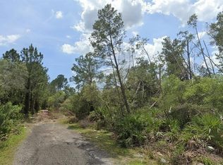 Aster Ter Lot 193, Deland, FL 32724