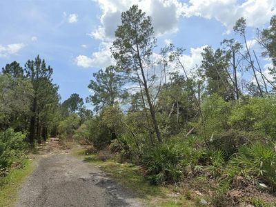 Aster Ter Lot 193, Deland, FL, 32724
