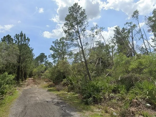 Aster Ter Lot 193, Deland, FL 32724