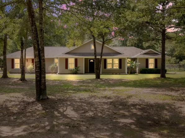 17302 Coachwhip Ct, Waller, TX 77484