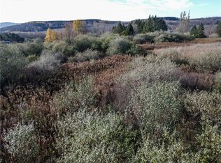 Williams Rd LOT 3, Addison, NY 14801