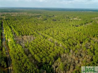 0 Lowground Rd, Guyton, GA 31312
