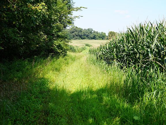 5th image of 7960 State Highway 269