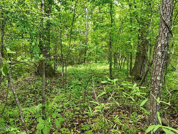 3rd image of 0 Snake Creek Rd Lot 13