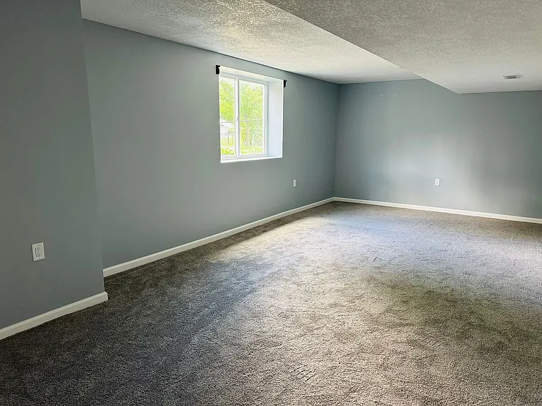 Basement Living Room