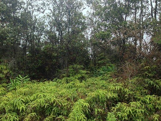 3rd image of Nahelenani St Lot 442