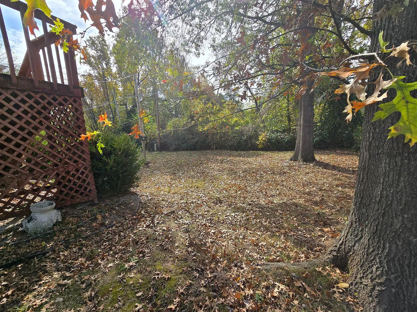 3 bedroom 1.5 bathroom home — Photo 4