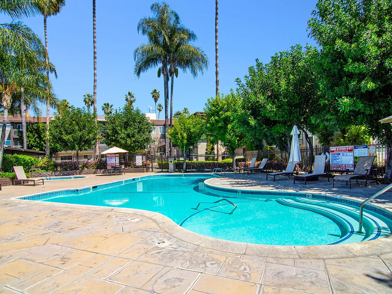 Olive Tree Apartments — Photo 3