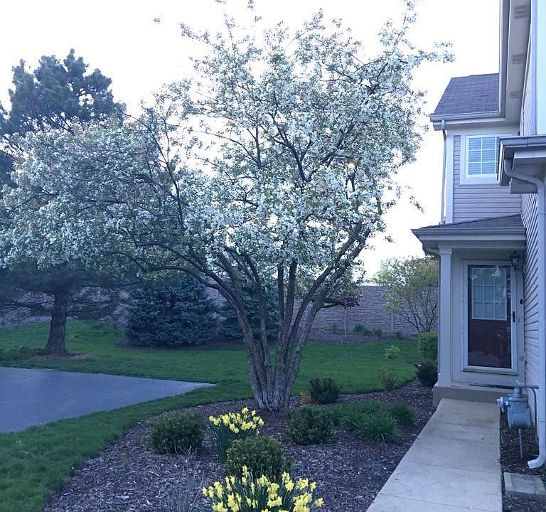 2nd image of 3033 Serenity Ln