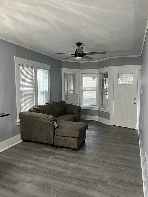 Building Photo - 216 Bassett St #1