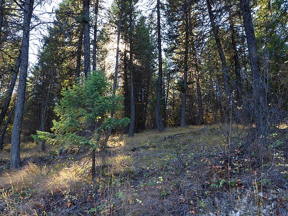 2nd image of Nhn Gut Creek Rd