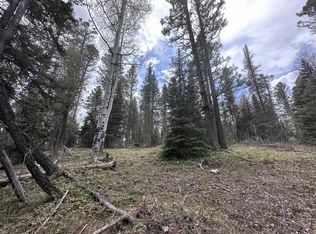 766 Crest Dr, Cimarron, CO 81220