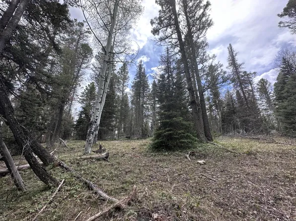 766 Crest Dr Lot 22, Out Of Area, CO