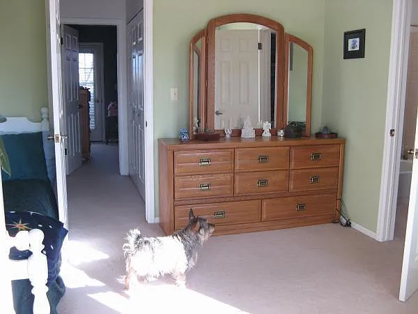 2828 Silverplume Dr #Q3 — Photo 11