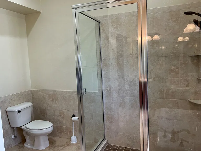 Shower and Toilet