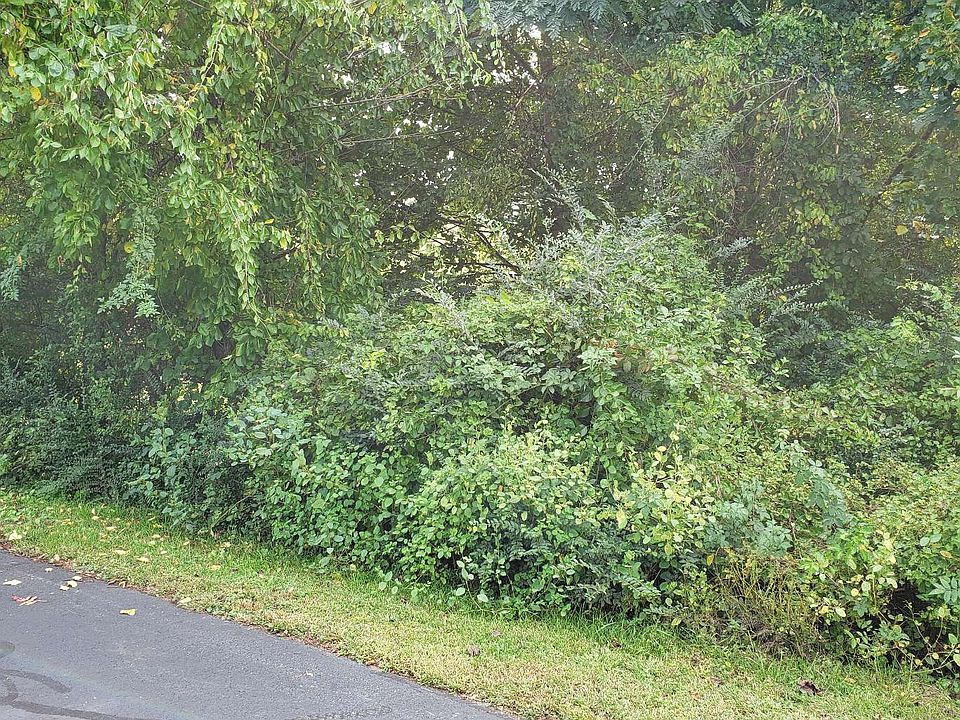 2nd image of 11A Snipe Hollow Ln