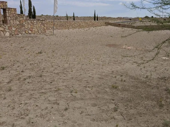 2919 Bink Pl, Las Cruces, NM 88011