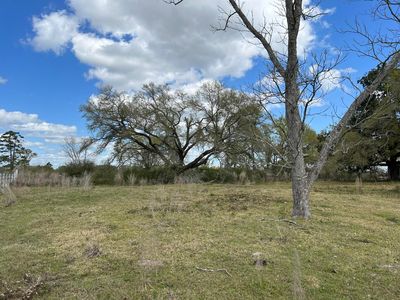 Don Plush Rd Tract 2, Deridder, LA, 70634