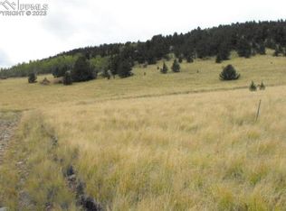 Unknown Dr, Cripple Creek, CO 80813