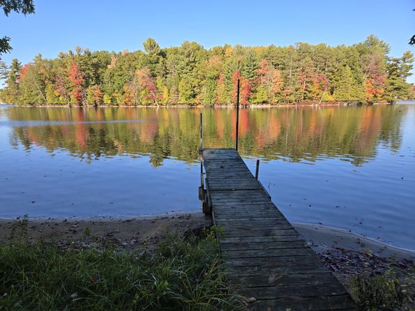 8918 W School Section Lake Dr, Mecosta, MI 49332